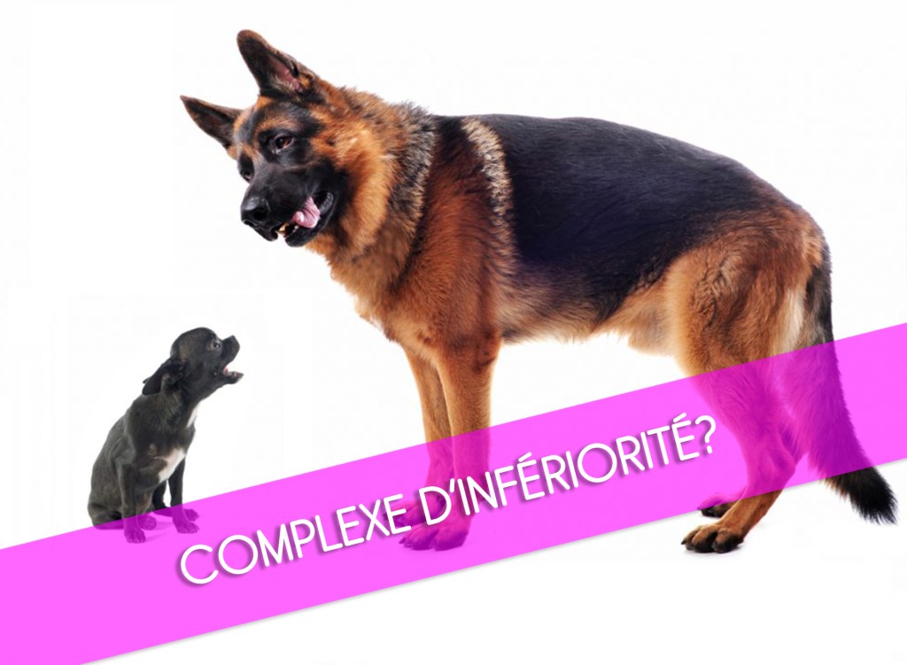 Complexe d’infériorité?
