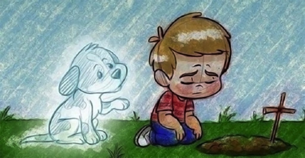 Comment surmonter la perte d’un animal de compagnie? 10&nbsp;Conseils