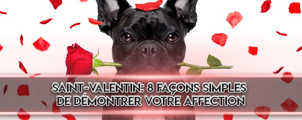 Saint-Valentin: 8 Façons simples de démontrer votre affection à votre&nbsp;partenaire