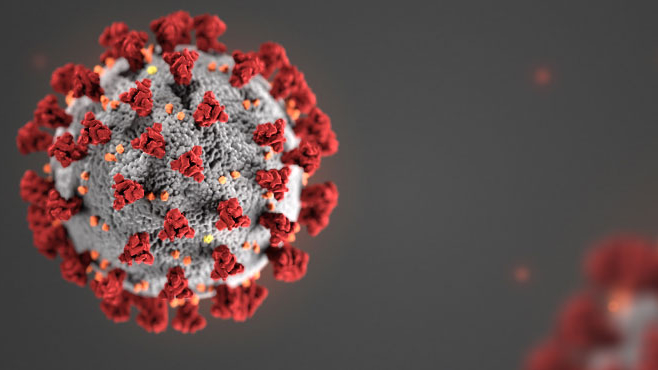 Corona Virus – comment booster votre&nbsp;immunité